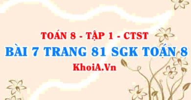 Bài 7 trang 81 SGK Toán 8 Tập 1 Chân trời sáng tạo